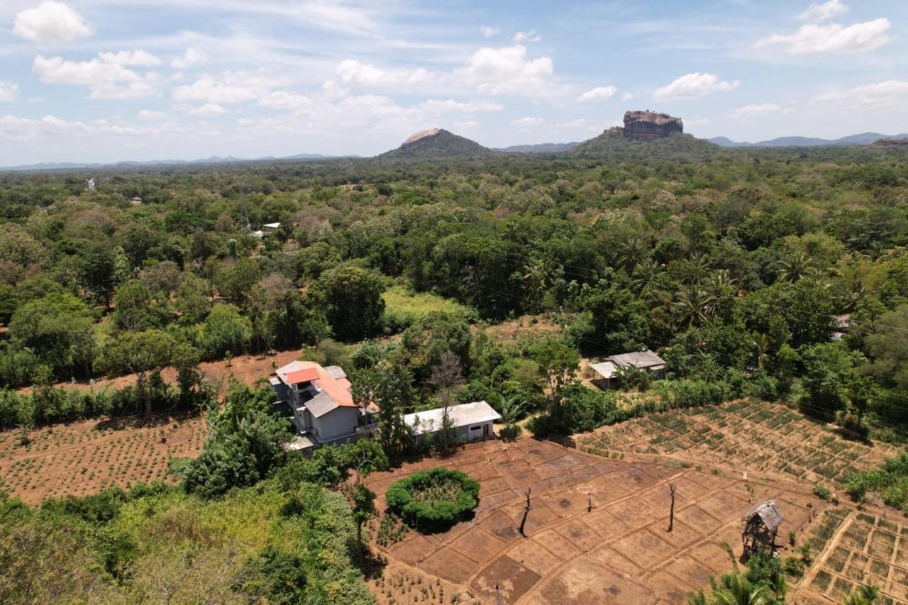 Sigiriya Sun Shine Villa Dış mekan fotoğraf