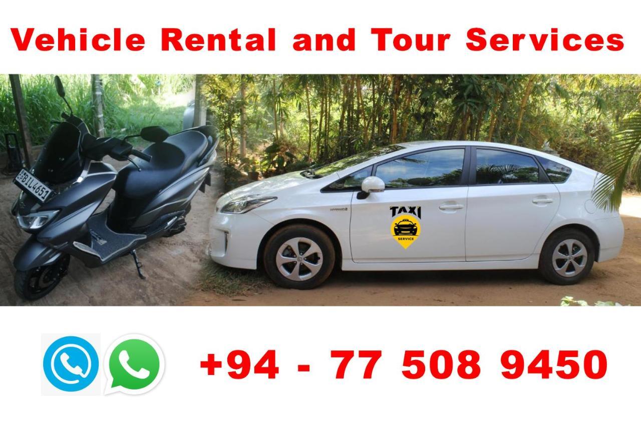 Sigiriya Sun Shine Villa Dış mekan fotoğraf