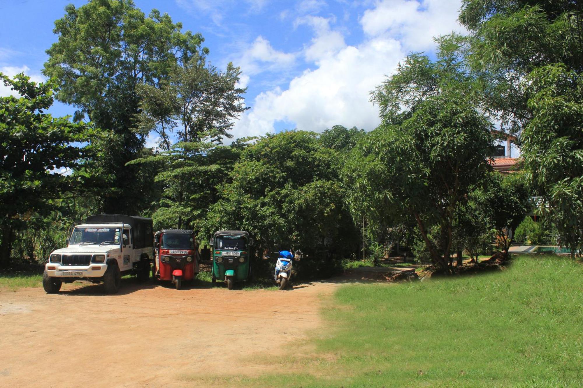Sigiriya Sun Shine Villa Dış mekan fotoğraf