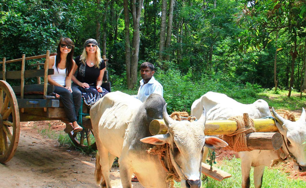 Sigiriya Sun Shine Villa Dış mekan fotoğraf